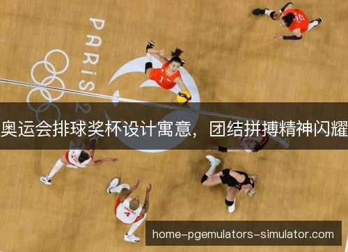奥运会排球奖杯设计寓意，团结拼搏精神闪耀